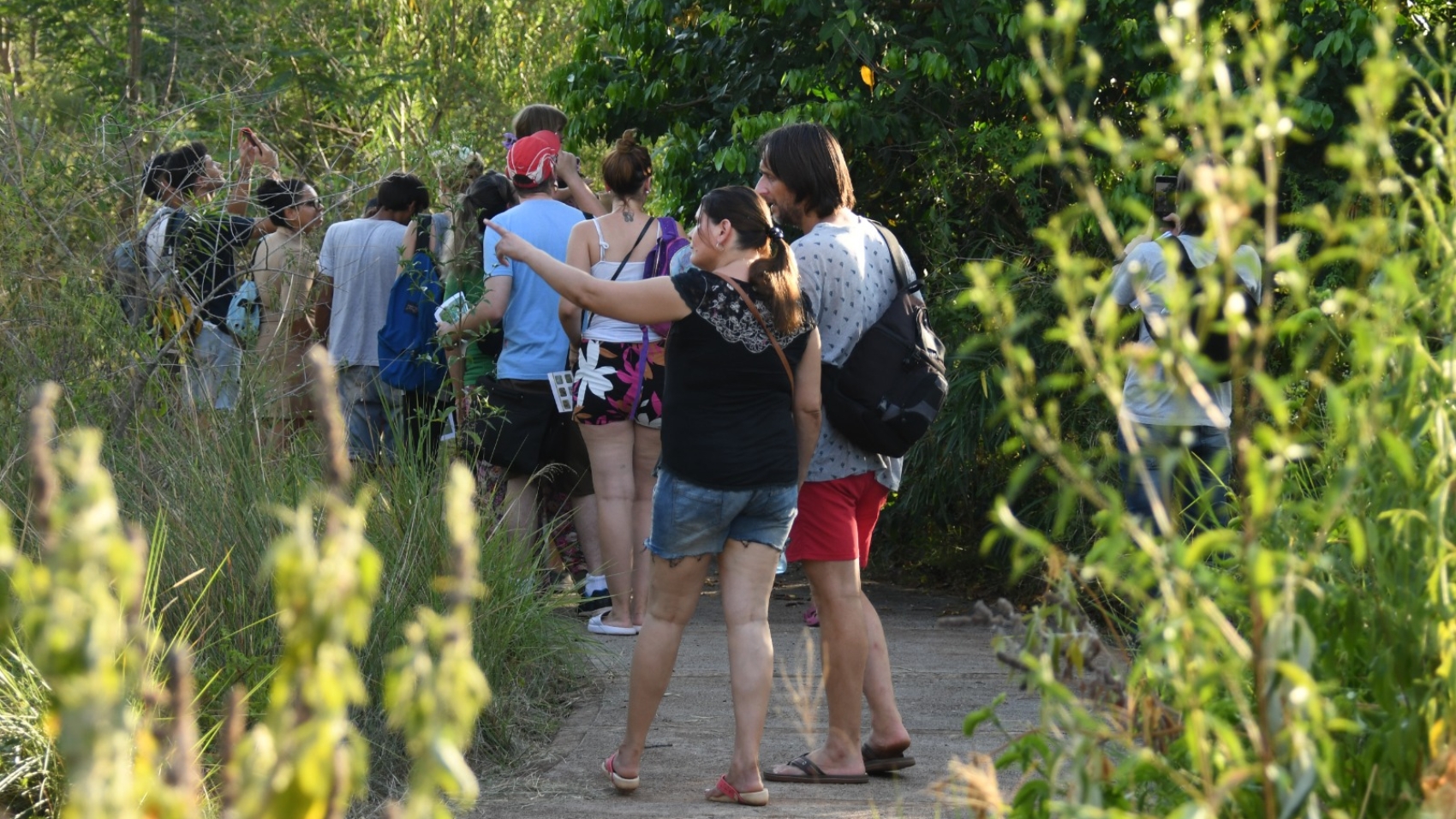 observacion de aves
