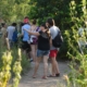 observacion de aves