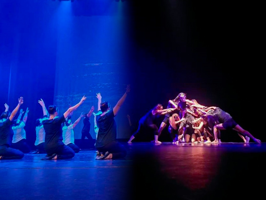 Muestra de Danza