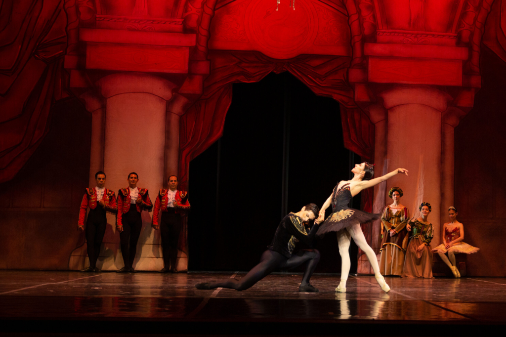 ballet lago de los cisnes