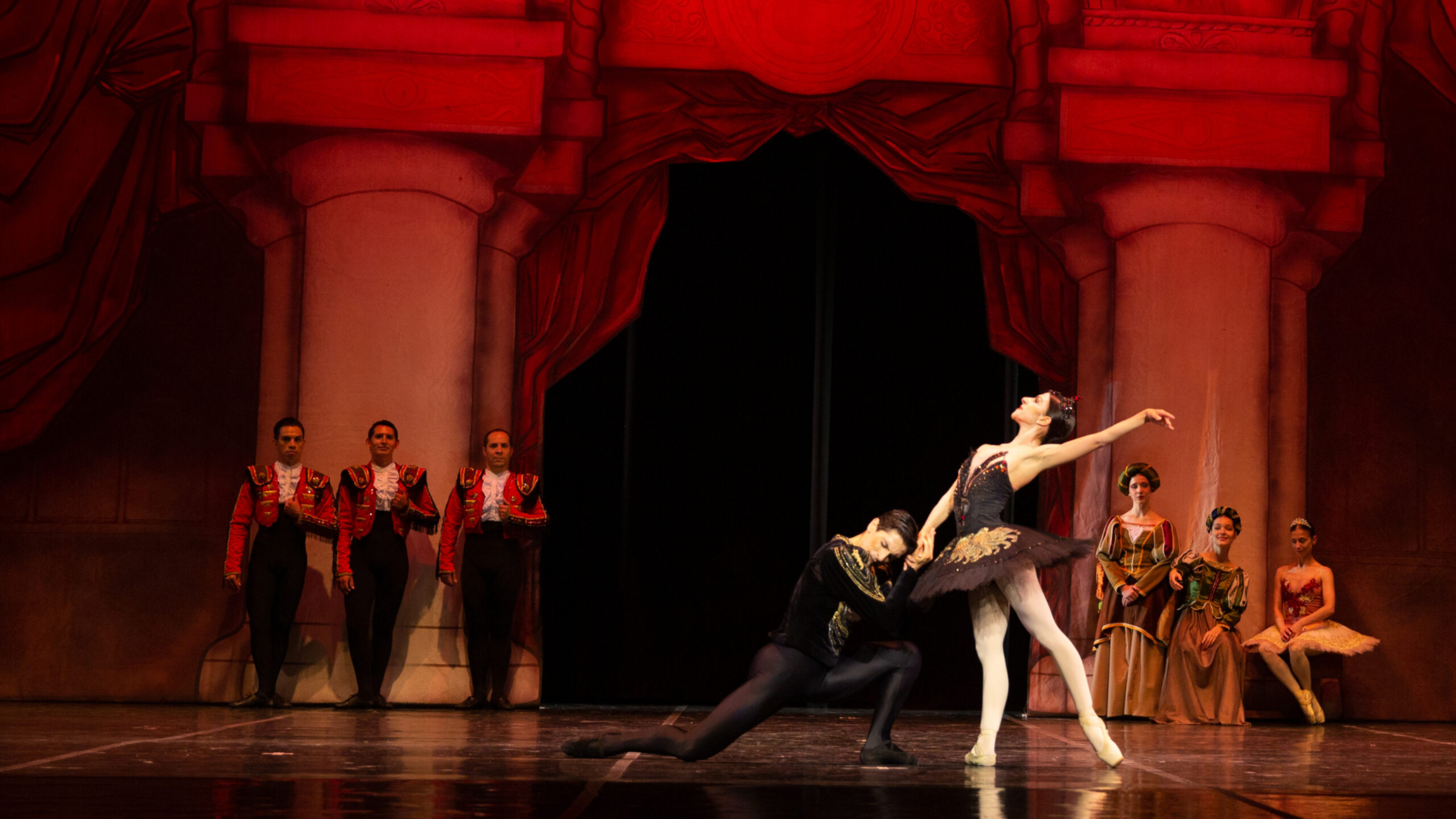 ballet lago de los cisnes