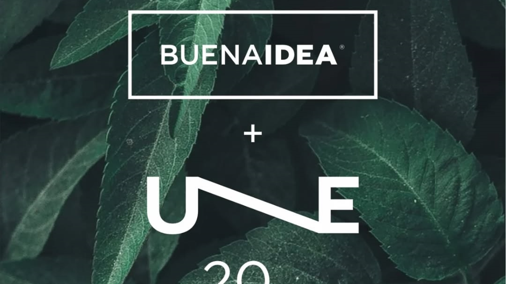 UNE 2026 (2)
