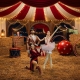 El Circo